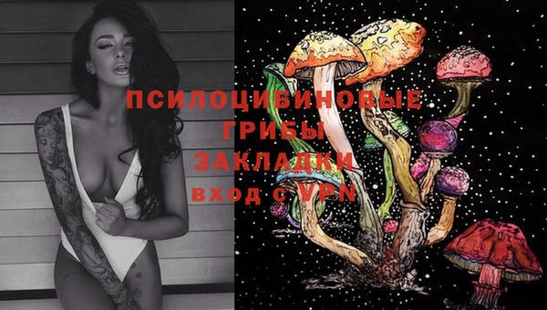 гидропоника Богданович