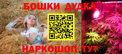 прущие крисы Кулебаки