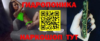 apvp Кунгур