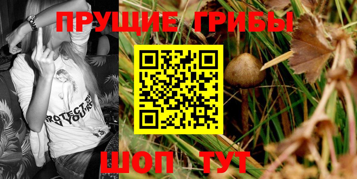 Псилоцибиновые грибы Cubensis  Вход с VPN  Кузнецк 